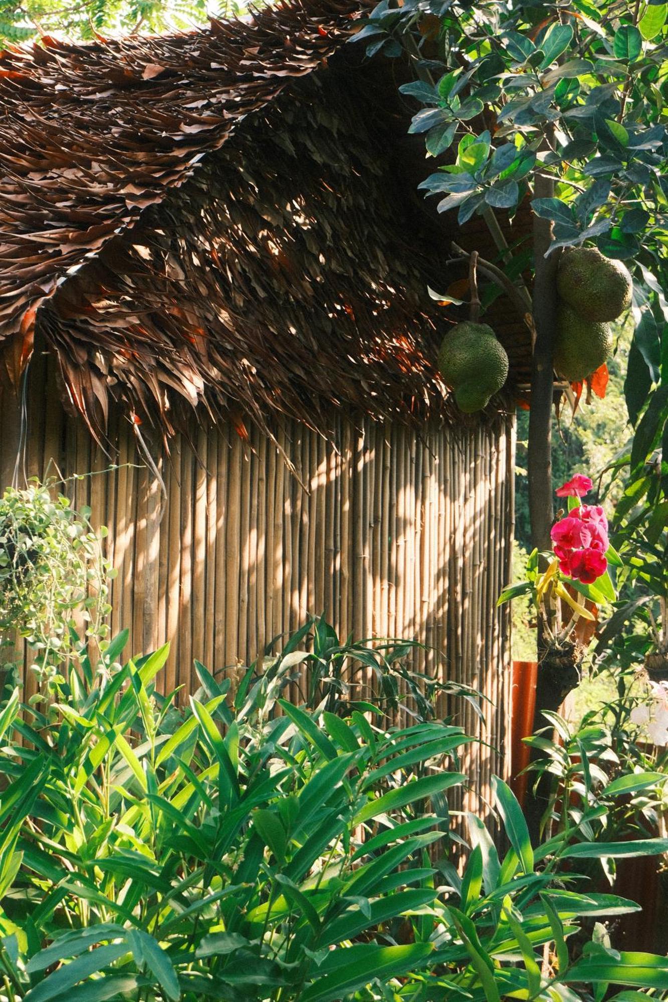Siem Reap Homesteading II Экстерьер фото