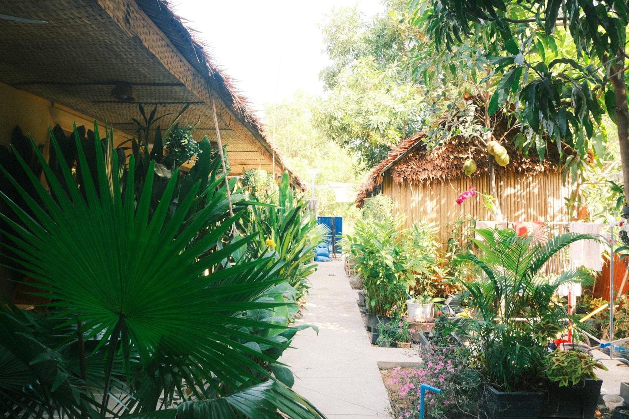 Siem Reap Homesteading II Экстерьер фото