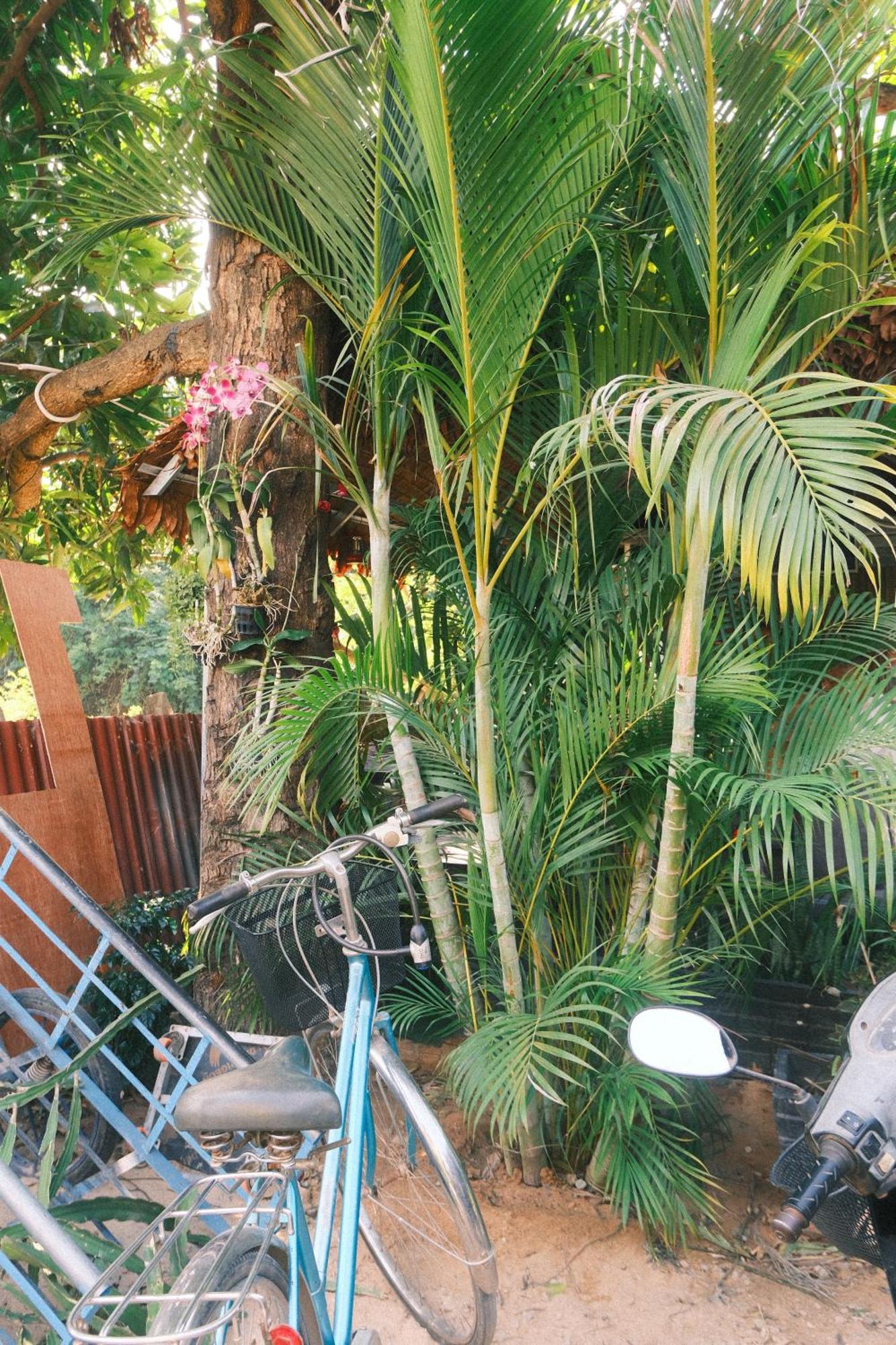 Siem Reap Homesteading II Экстерьер фото